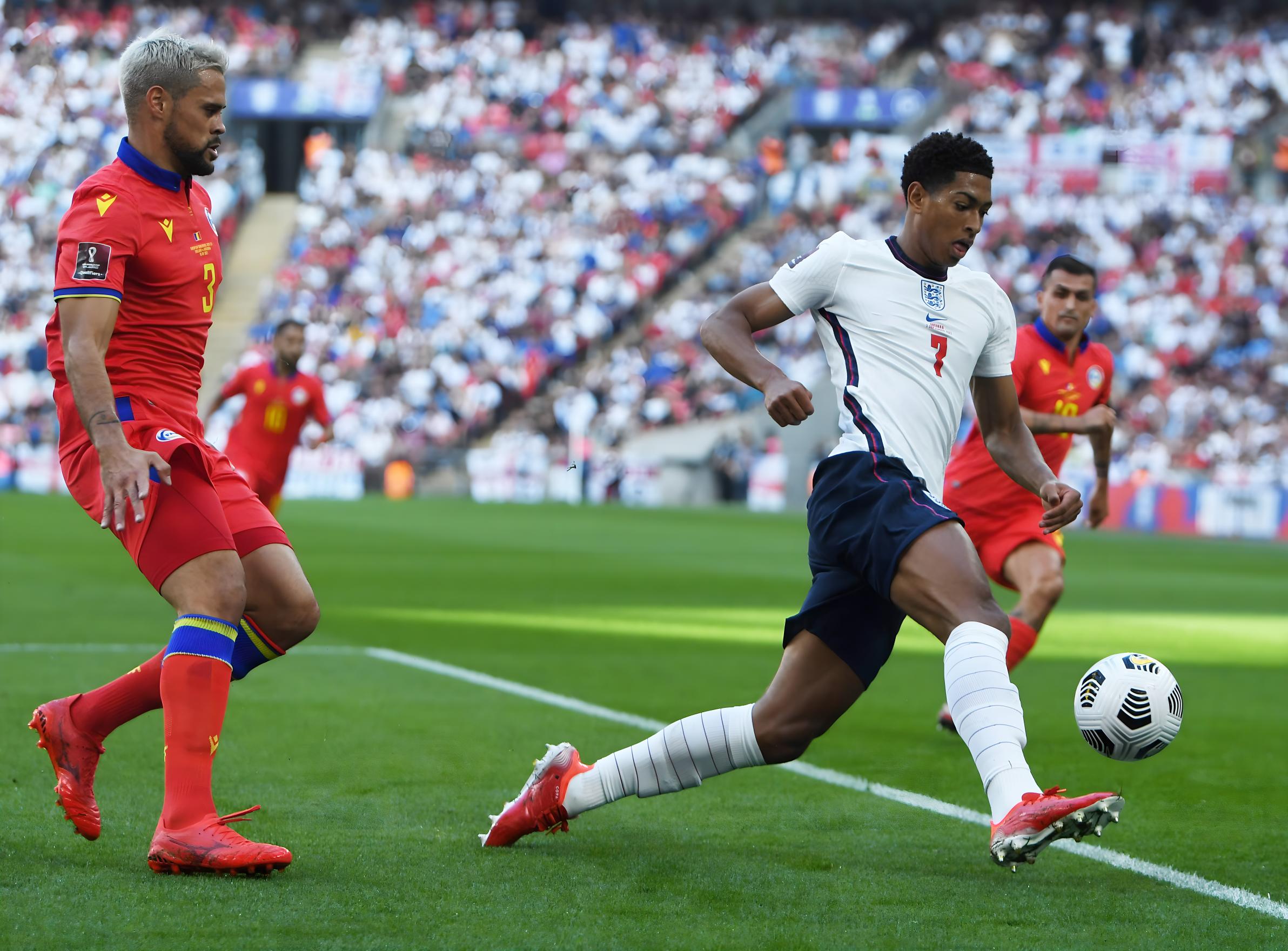 了精彩的视 了精彩的视