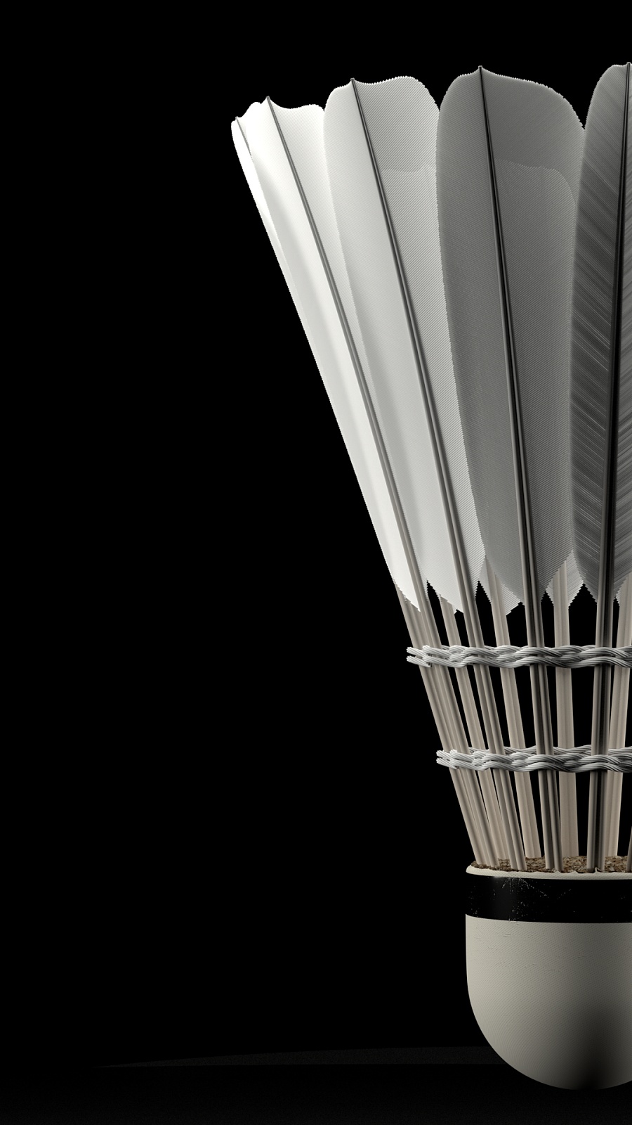 加上球队稳 加上球队稳