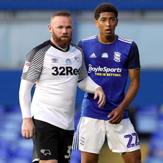 化的回声 化的回声